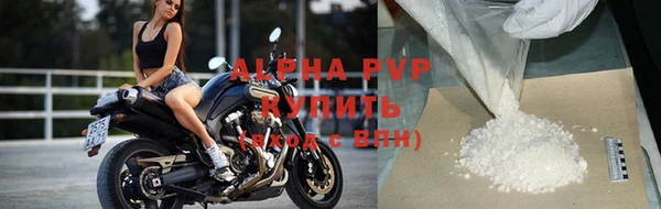 хмурый Нефтекумск