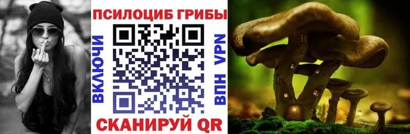 Псилоцибиновые грибы ЛСД Усолье
